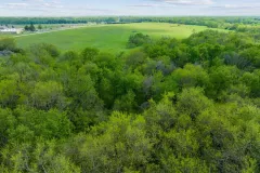 11-413EBluestem-8-1920w