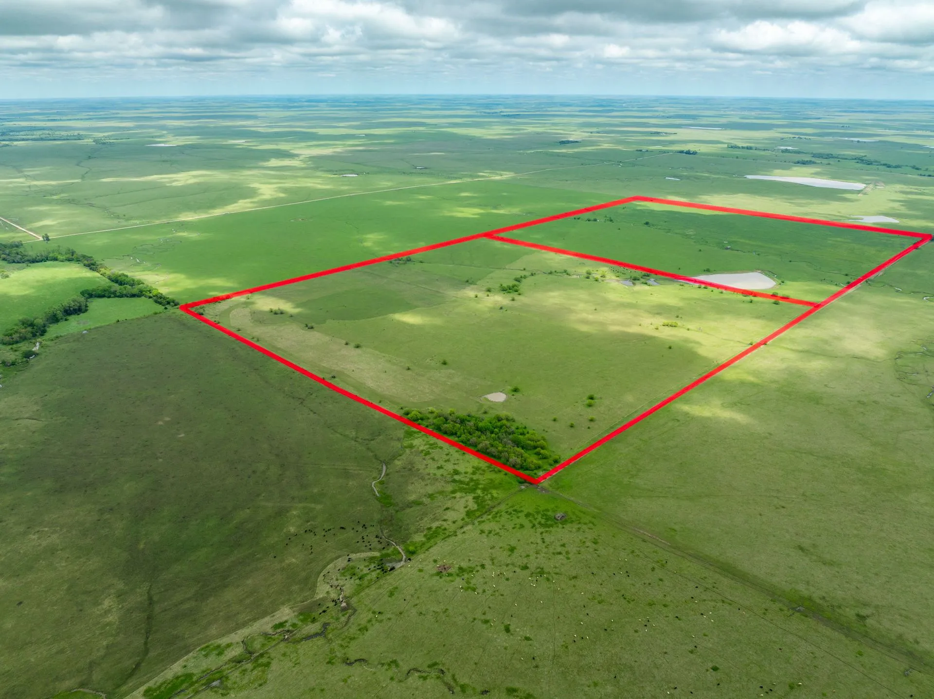 Image of land for sale.