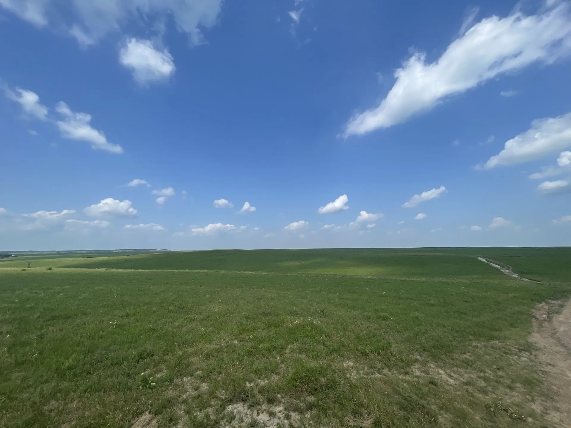 Image of land for sale.