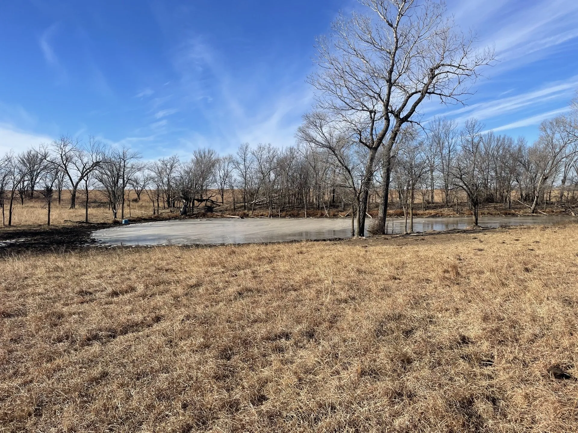 Image of land for sale.