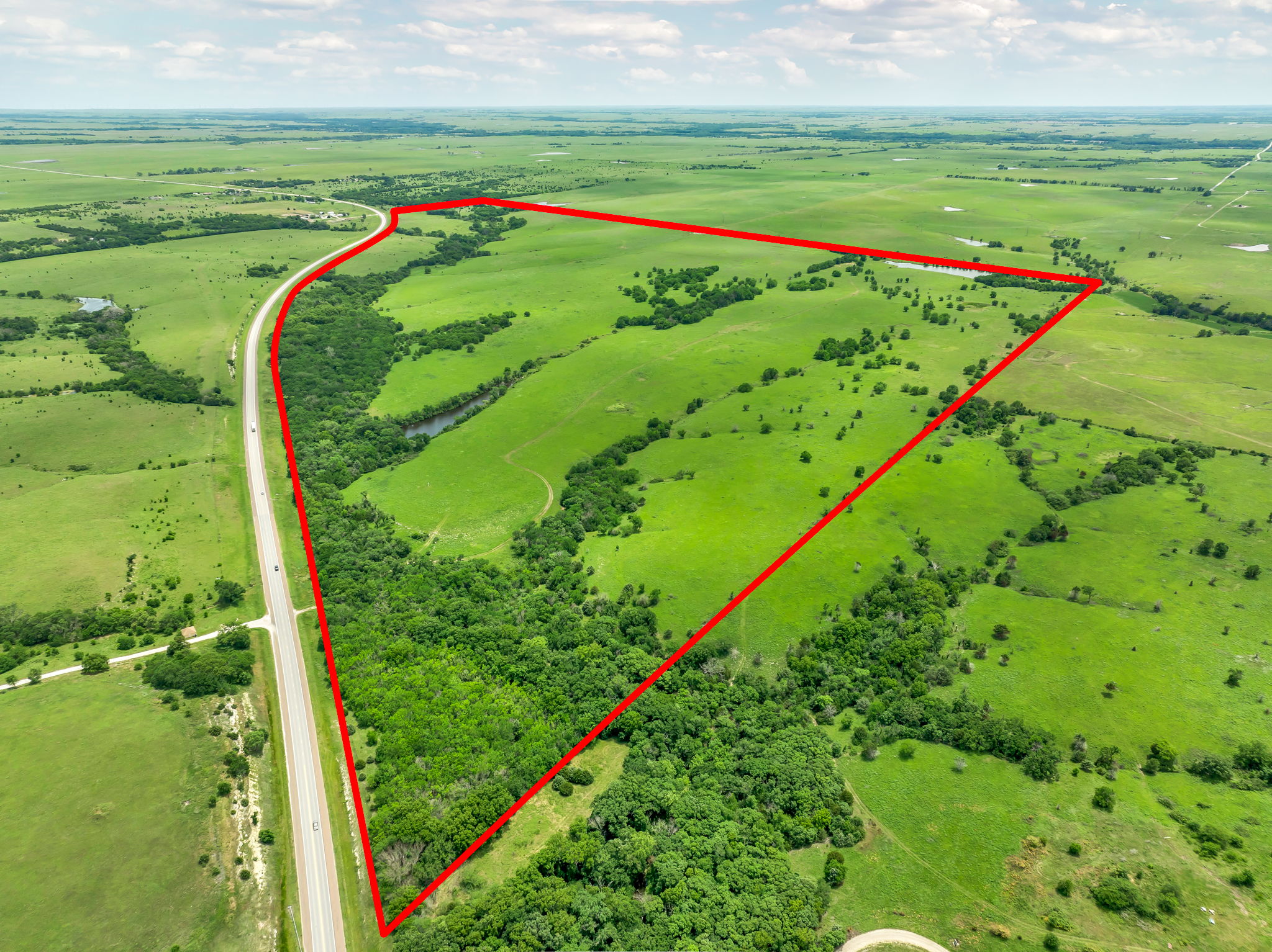 Image of land for sale.