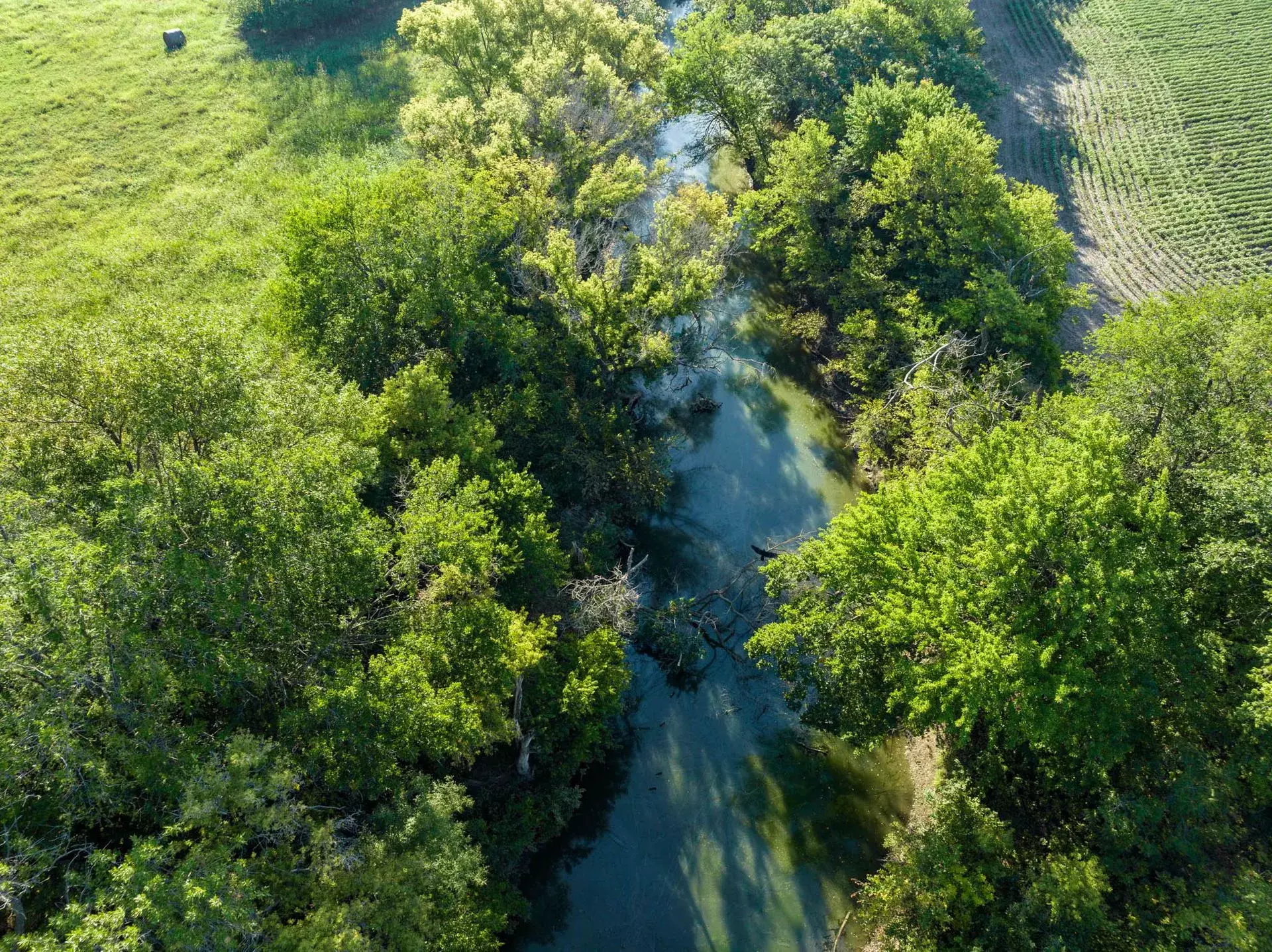 Image of land for sale.